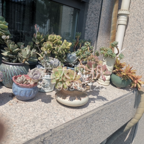 Explosion proof centrifugal fan