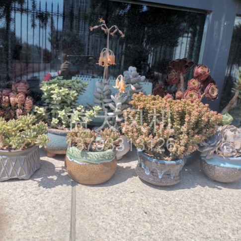 Explosion proof centrifugal fan