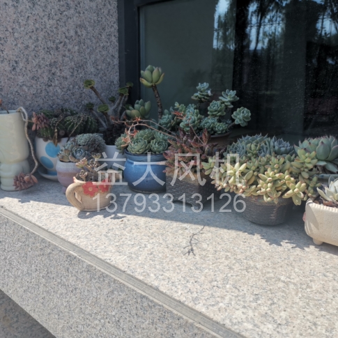 Explosion proof centrifugal fan