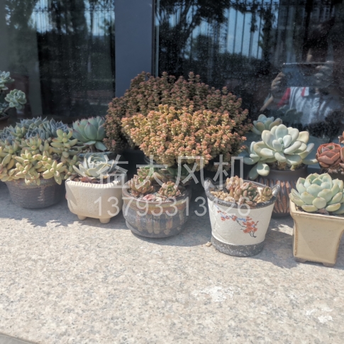 Explosion proof centrifugal fan