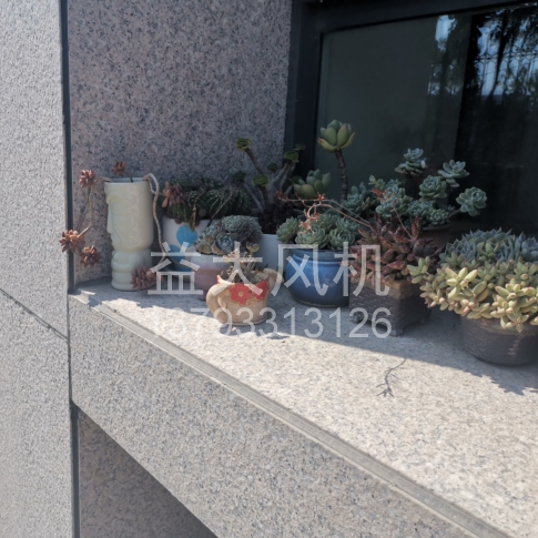 Explosion proof centrifugal fan