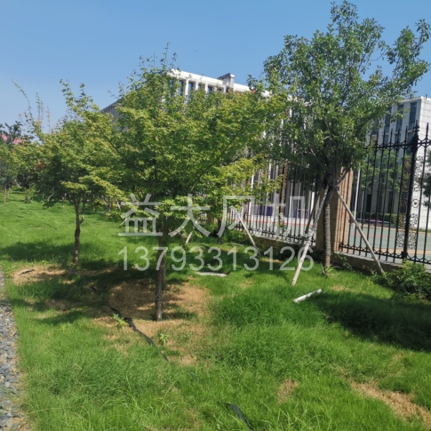 Explosion proof centrifugal fan