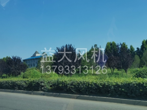 Explosion proof centrifugal fan